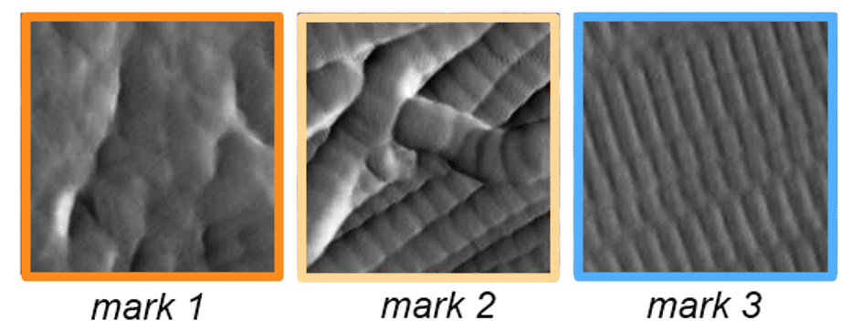 Examples of three areas with weak, moderate and good interfibrillary organisation used for AI training with scores of 1, 2 and 3 respectively.