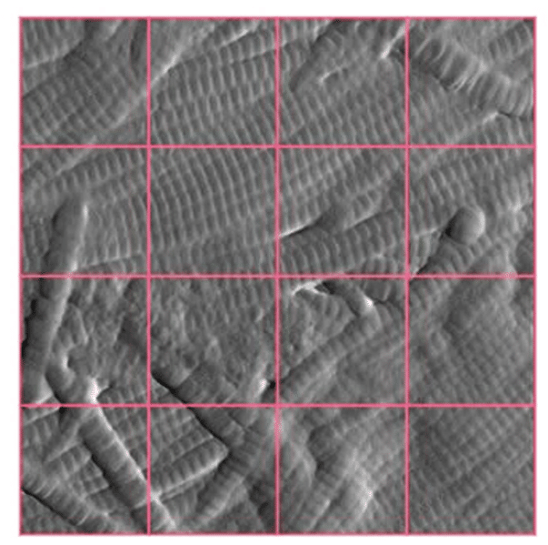 Quantifying dermal collagen organisation with AI-assisted AFM