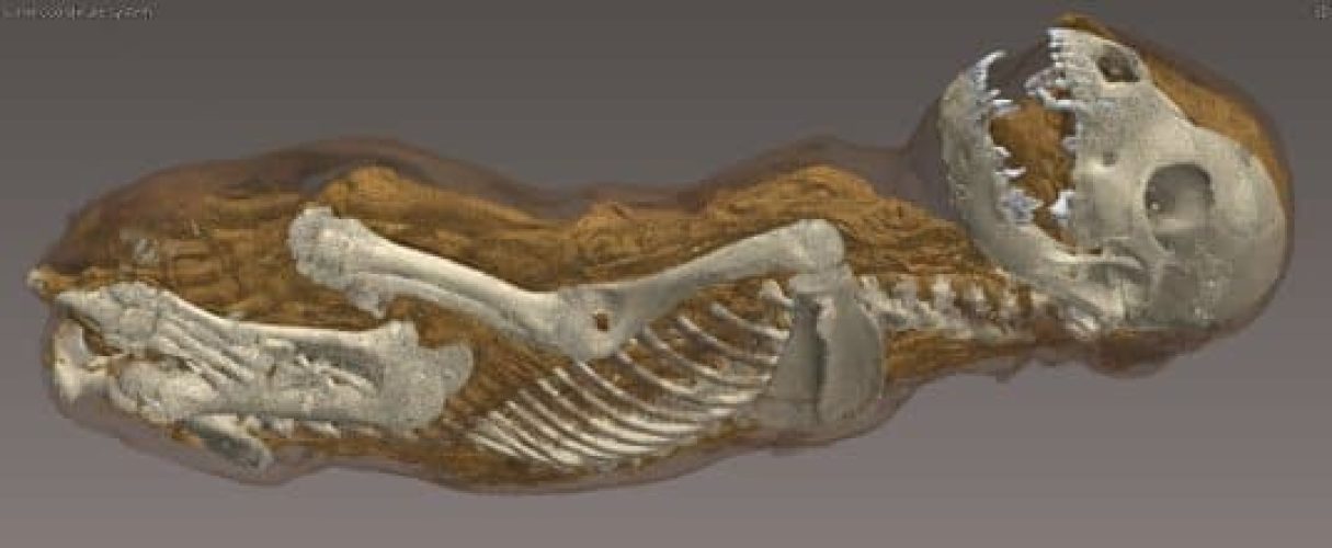 rendu 3D du squelette contenu dans une momie, scan tomographie RX